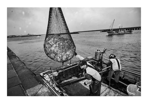 エドソウタの作品画像